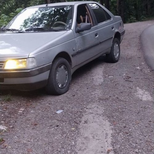 پژو 405 مدل 91