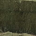 یونجه درجه یک