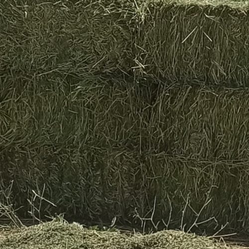 یونجه درجه یک