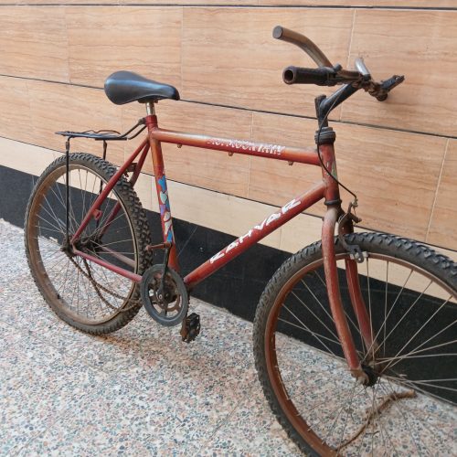 دوچرخه تنه بلند و تمیز