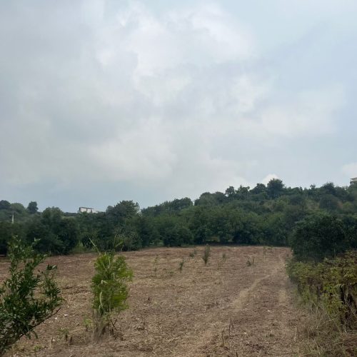 فروش فوری زمین