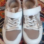 کتانی اسپرت