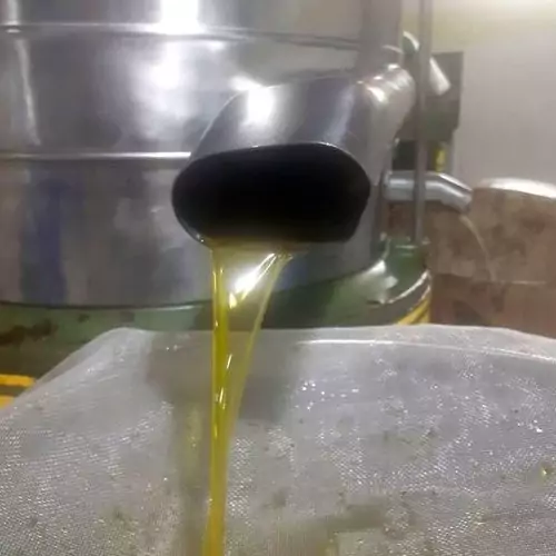 روغن زیتون الموت