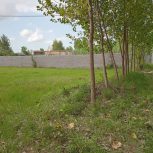 زمین 260متری دارای مدارک کامل