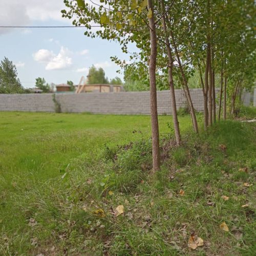 زمین 260متری دارای مدارک کامل