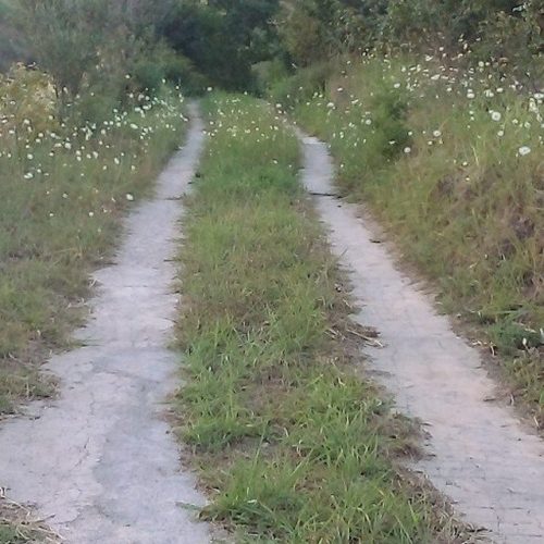 مزرعه هشت هزارمتری(باغ)