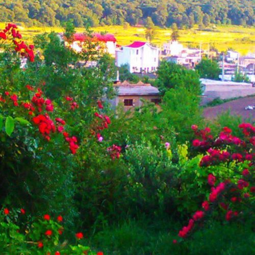 مزرعه هشت هزارمتری(باغ)