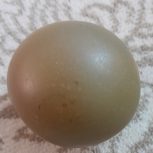 سنگ آسیاب فروشی