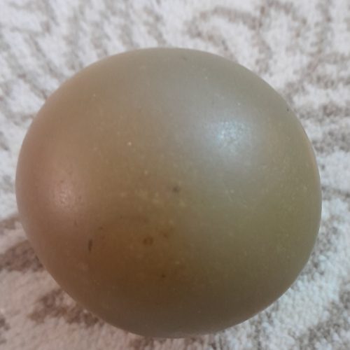 سنگ آسیاب فروشی