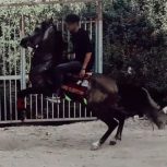 نریون 3سالو نیم کرد  سواری کامل قد 5دونگ رنگ نیله خش استایل سواری جنگنده جفت زن به شرت 3تا میدون رفته