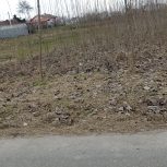 فروش زمین کشاورزی