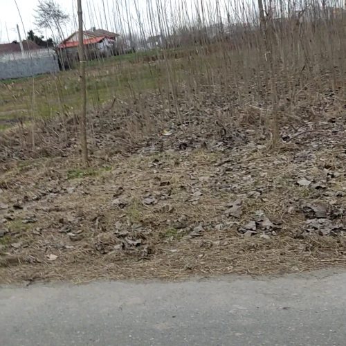 فروش زمین کشاورزی