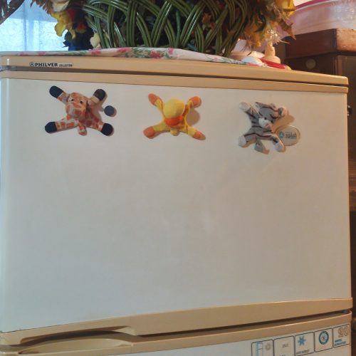 یخچال فریزر 2 در