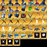 اکانت فرتنایت