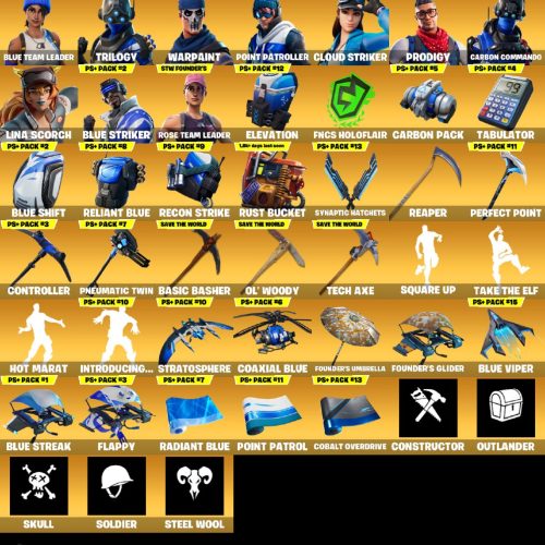 اکانت فرتنایت