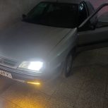 زانتیا فروشی