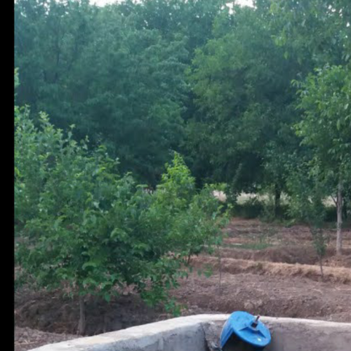 فروش باغ درختی و انگور  نزدیک شهر ملایر