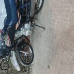 احسان شکاریی 200