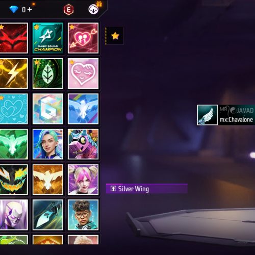 اکانت سرور آمریکا