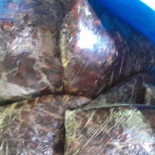 استان خوزستان شادگان