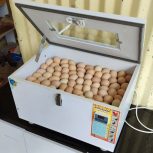 دستگاه جوجه کشی