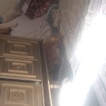 سگ پامراینن