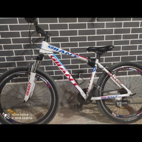 دوچرخه 26 حرفه ای