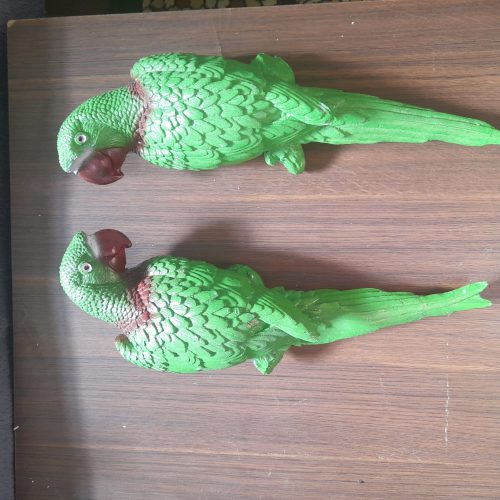 مجسمه طوطی دیوار کوب