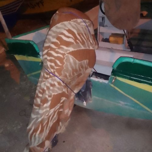 قایق و موتور 50چهارزمانه