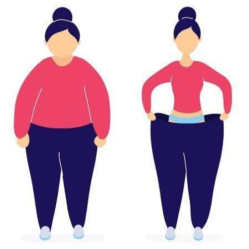 محصولات نیوشابرای لاغری