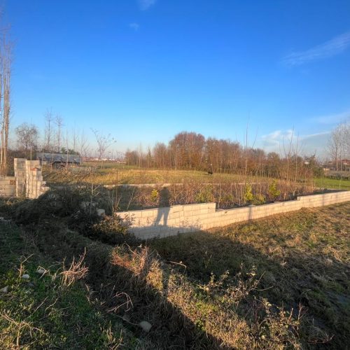 زمین تبدیل به باغی