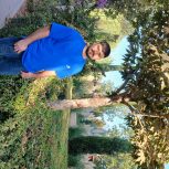 اسباب کشی و حمل و نقل