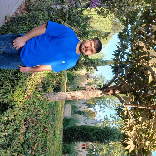 اسباب کشی و حمل و نقل