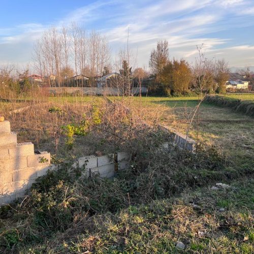 زمین تبدیل به باغی