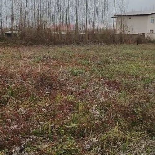 905مترمسکونی