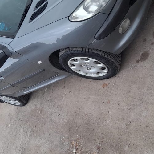 206تیپ 2 بی رنگ