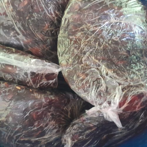 استان خوزستان شادگان