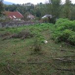 زمین در طبیعت و اطراف زمین جنگل سیاهکل