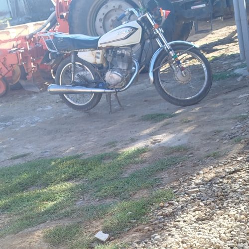 مهدی بهبودی تلگه