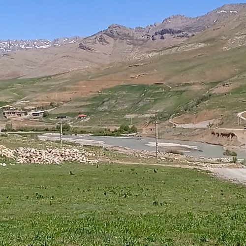 زمین ویلایی