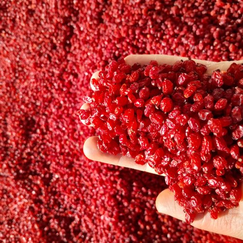 زعفران و خشکبار اصل قائنات
