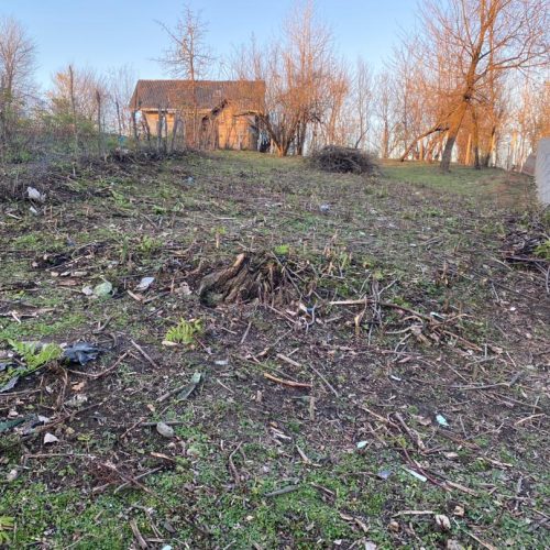 زمین در طبیعت و اطراف زمین جنگل سیاهکل