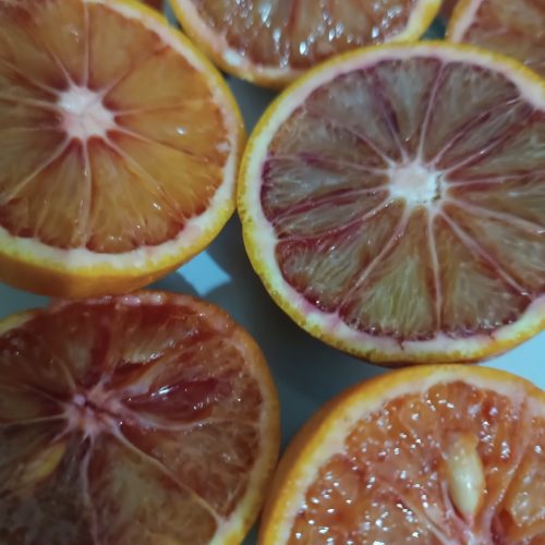 پرتقال خونی کیلویی 20