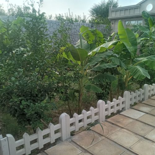 اجاره ویلا باغ
