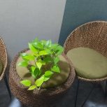 در حد نو و بدون زدگی و لک