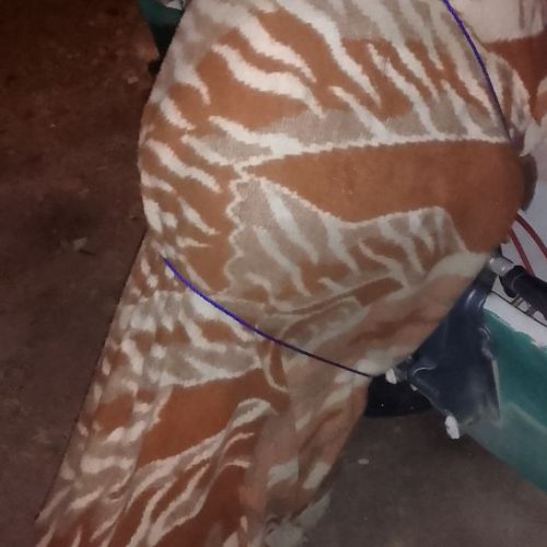 قایق و موتور 50چهارزمانه