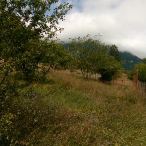 زمین400متر ییلاق مریان آق اولر