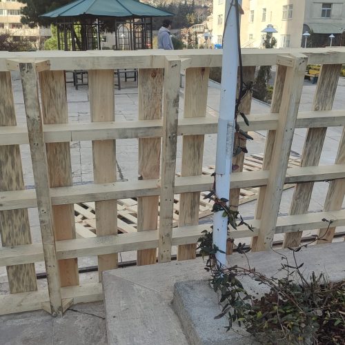 پالت سالم نو