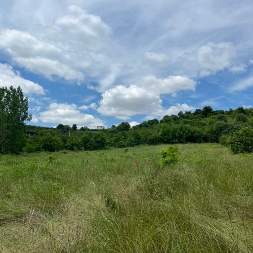 فروش فوری زمین