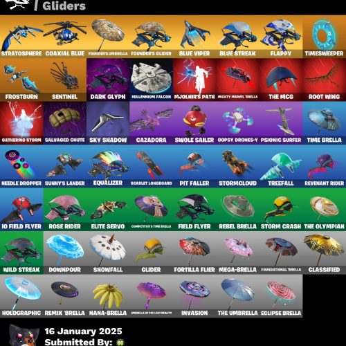 اکانت فرتنایت